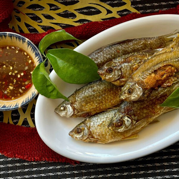 Cá Suối Có Trứng