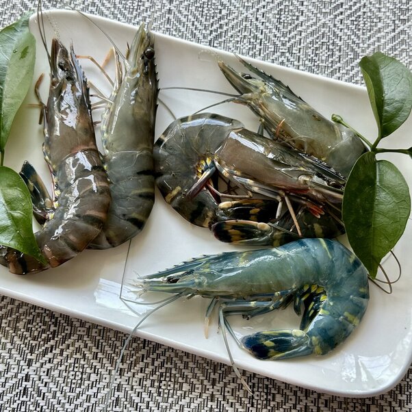 Tôm Sú Thiên Nhiên
