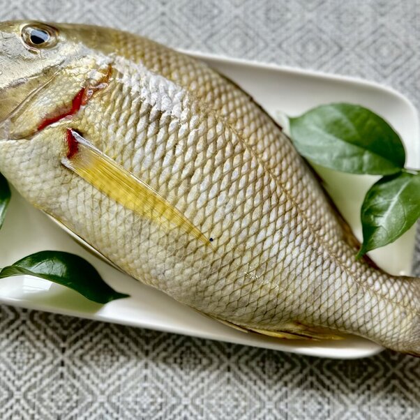 Cá Đỏ Mép 