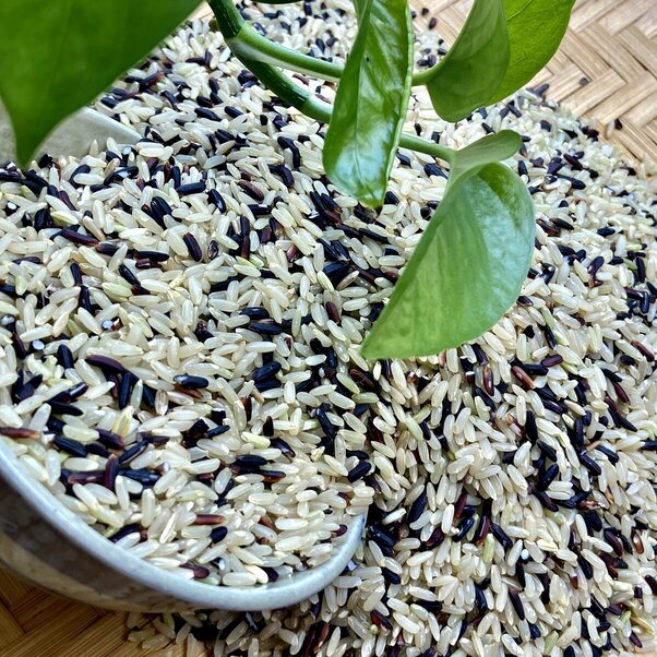 Gạo trắng tím