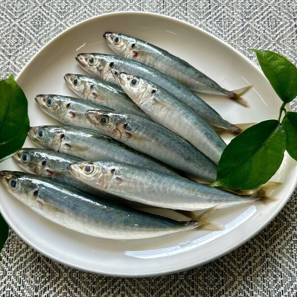 Nục suôn