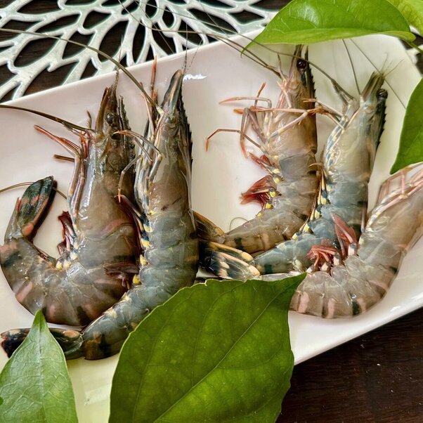 Tôm Sú Thiên Nhiên