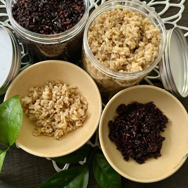 Cơm rượu nếp cái hoa vàng