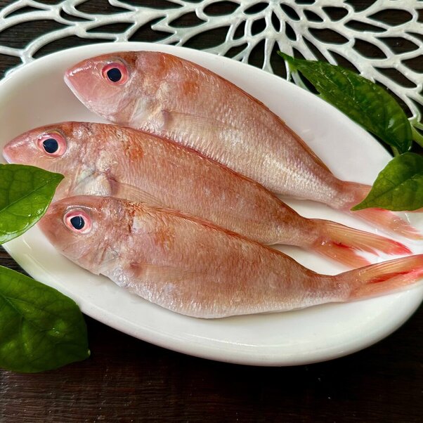 Cá đổng