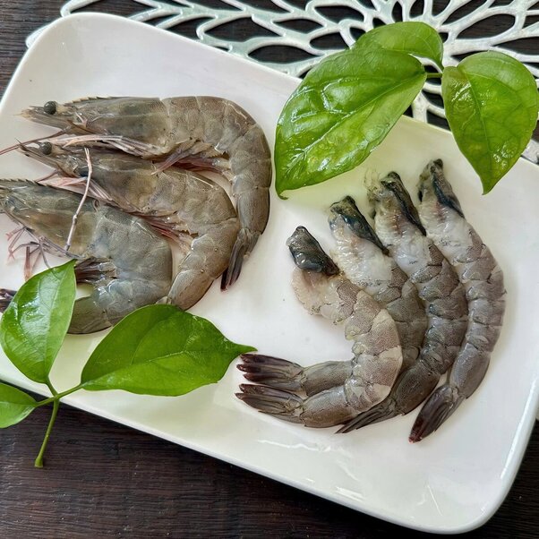 Tôm thẻ