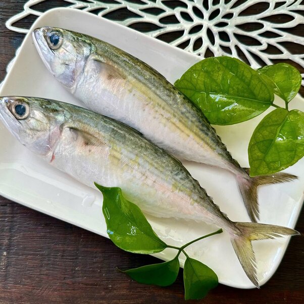 Bạc má