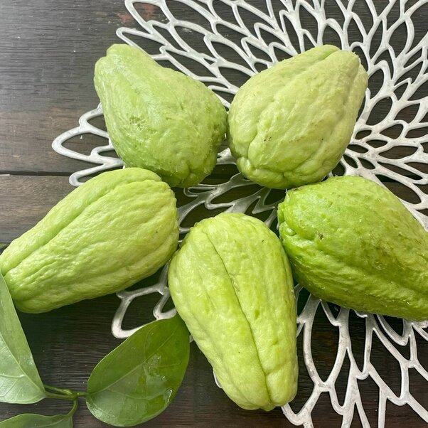 Củ Su Su
