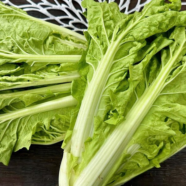 Cải dún