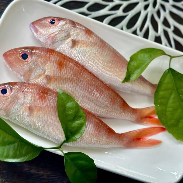 Cá đổng