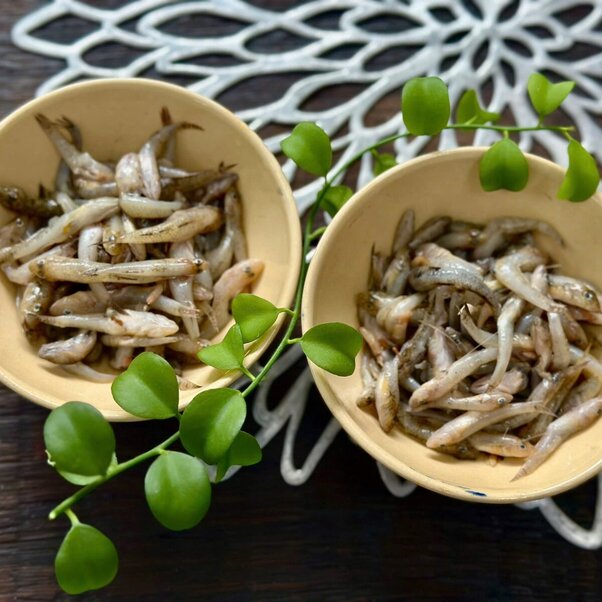 Cá bống Sông Trà